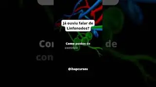 O que são linfonodos? #reels #shorts #imunologia