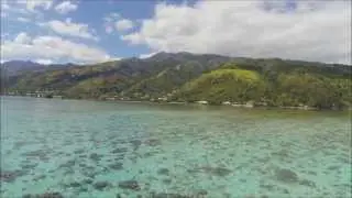 AMAZING WHALE FPV