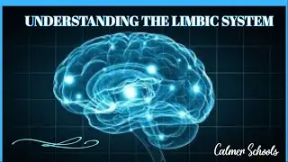 UNDERSTANDING THE LIMBIC SYSTEM               