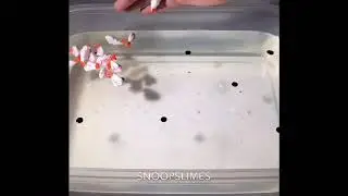 Big Batch Clear Slime Mixing (#1)