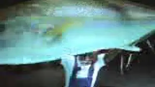Yellow Pages Commercial- Shark Attack!