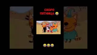 Три кота 😎 | МУД ТРИ КОТА 😂 