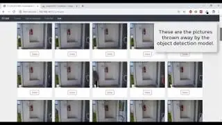 Surveillance camera platform