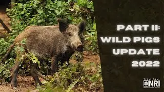 Feral Swine Control Pilot Program Workshop: Part II