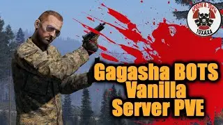 DayZ - Gagasha BOTS Vanilla Server PVE Обзор сервера
