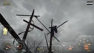 Bird caught in barbed wire
