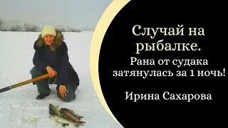 Случай на рыбалке. Рана от судака затянулась за 3 дня. Ирина Сахарова