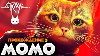 МОМО - STRAY ПРОХОЖДЕНИЕ НА РУССКОМ №3 