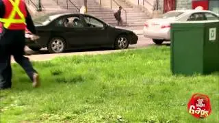 Прикол с девушкой собакой и туалетом