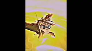 Death vs Master oogway
