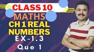 Real Numbers Class 10 | Maths Chapter 1 | Exercise 1.3 Que 1