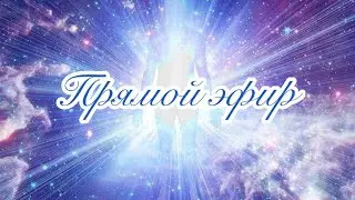 Прямой эфир 29.08.23