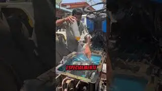 Why Do Mechanics Clean Engines With Diesel?
