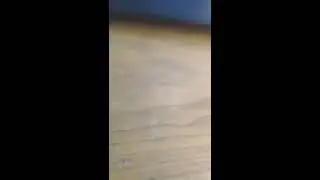 Да да я Художник.