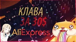 МЕХАНИЧЕСКАЯ КЛАВИАТУРА ЗА 30$👍