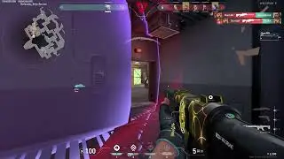 1v5 Spectrum Guardian ACE