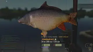 Fisher Online Франция: Карп мировой рекорд