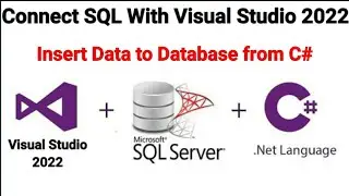 How to Connect SQL Server Database to Visual Studio 2022 C# Application | c