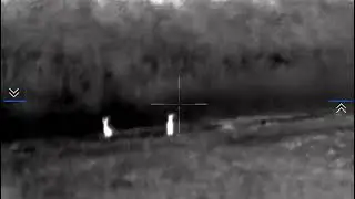 Trail 2 LRF XQ50. Coyote hunting.