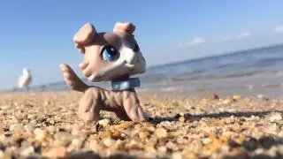 Lps Shallow Waters into