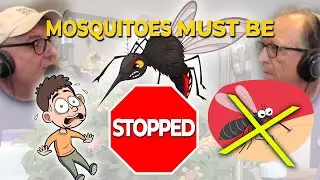 The Mosquitoes Must Be Stopped!!! | Here's what you need to know!