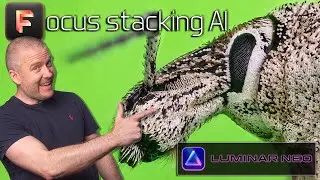 FOCUS STACKING AI in Luminar Neo for DEEP STACK EXTREME MACRO - Review & Editing Tips