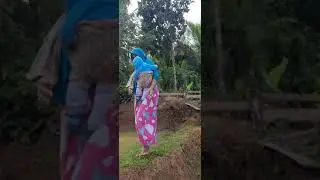 Emak emak montok ke sawah