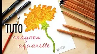 TUTO Crayons Aquarellables - Fleurs