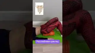 Избавляемся от боли в пояснице самостоятельно! #остеопат #остеопатия #мануал #упражнения#лайк