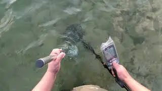 Пляжный Коп! Серебро и Эхо Войны.. 43-го Года!!