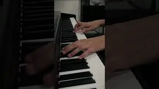 Fly | Ludovico Einaudi | #shorts #ludovicoeinaudi #fly