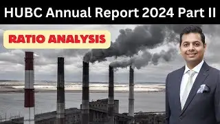 Ratio Analysis - Hub Power Annual Report 2024