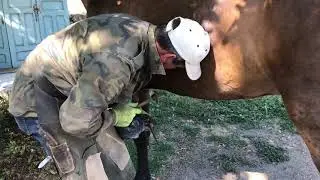 Как работает испанский кузнец