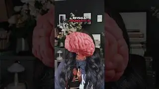 Research on the Schizophrenia Gene 