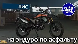 На ЗиД 250 Лис по асфальту
