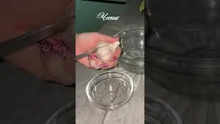 🥹Моя самая любимая закуска😋🤗🫶 #КетоЛюдНик🥑