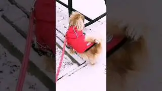 Спасибо этому дому, пойду к другому!!!