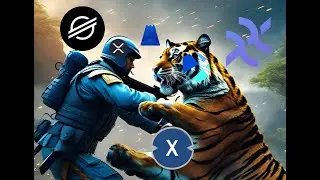NOT YET?! $XRP $XLM $SHX $XX $XDC $XPX