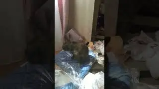 31 июля 2024 г.