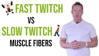 The Truth About Muscle Fibers: Strength vs Endurance