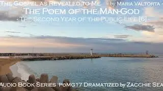 [AudioBook] Poem of Man-God/ Series 17/ Second Year of Public Life [6]/ Messiah Evangelizes Judea