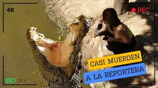 CASI ME MUERDE EL LARGARTO DE PERENÉ