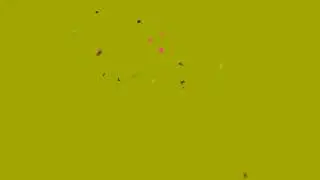 🔥 Free Green Screen Tree Patta | For Make Status