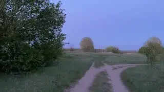 Песня соловья в вечерних сумерках