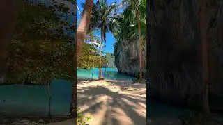 Under the palm trees,Krabi , Thailand  #photography