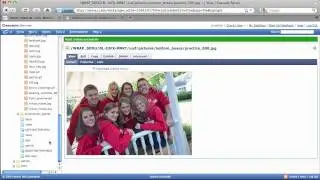 Edit content of IUSF website in Cascade Server