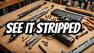 Springfield Prodigy FULL disassembly