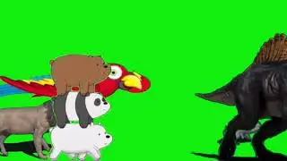 Another Animal Stampede Green Screen