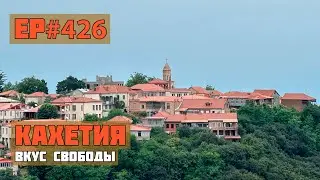 426. Кахетия. Сезон 2024