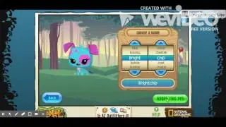 Membership Experience on Animal Jam
